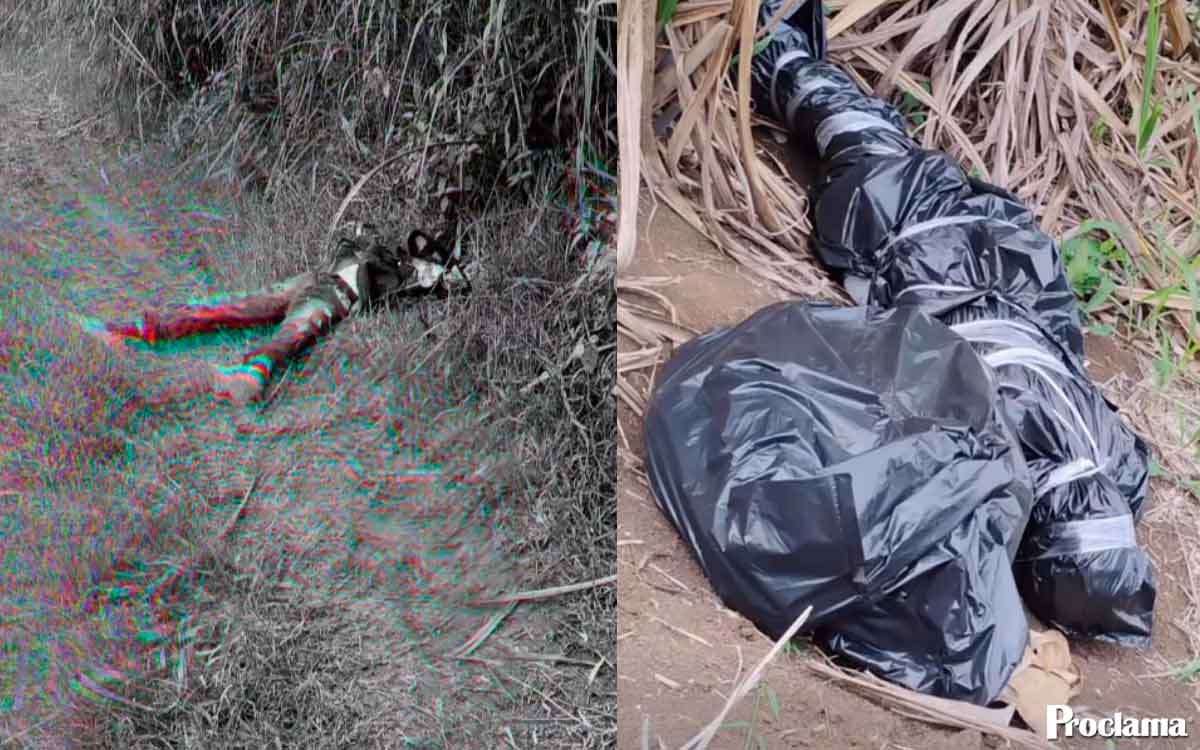 Preocupación en el norte del Cauca por cuerpos hallados en cañaduzales