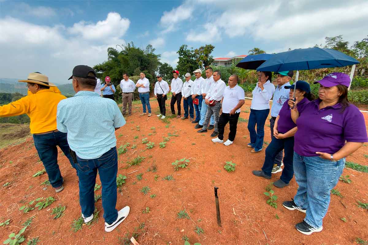 Avanza-investigacion-cafetera-en-el-norte-del-Cauca.-Comite-de-Cafeteros-sesiono-desde-Caloto.jpg