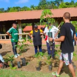 Gualanday, un refugio natural para el turismo local