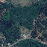 Sentencia salva bosque seco en Santander de Quilichao