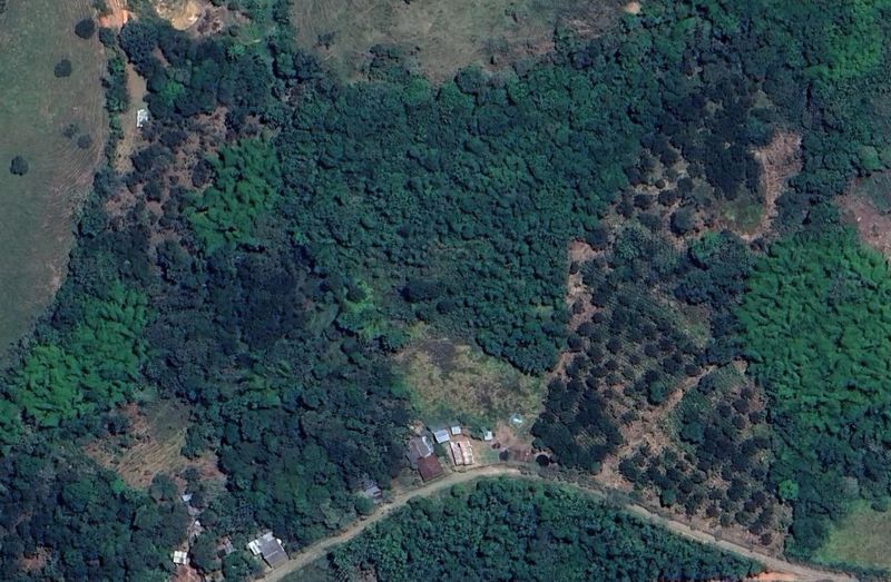 Sentencia-salva-bosque-seco-en-Santander-de-Quilichao.jpg