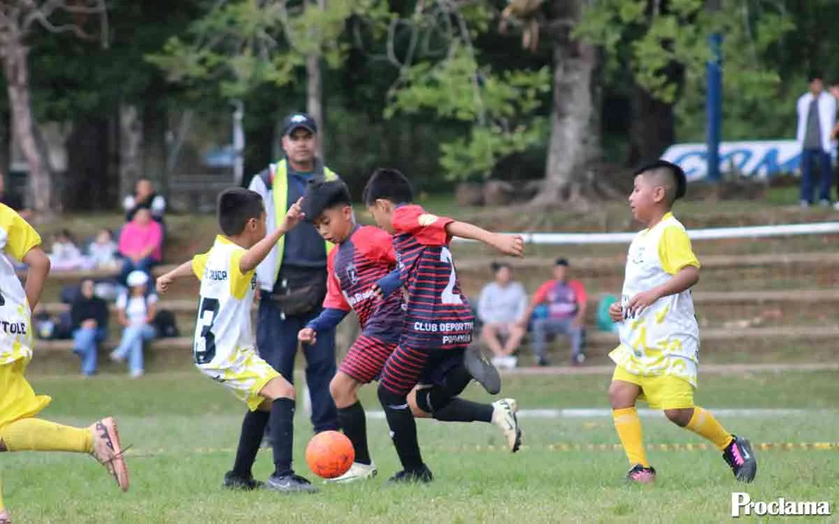 Torneo-Comfacauca