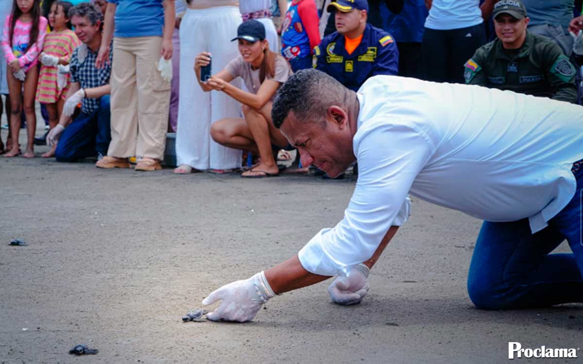Tumaco-avanza-en-la-creacion-del-Tortugario-del-Pacifico.jpg