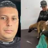 Indignación por liberación de agresor que golpeó brutalmente a un perro