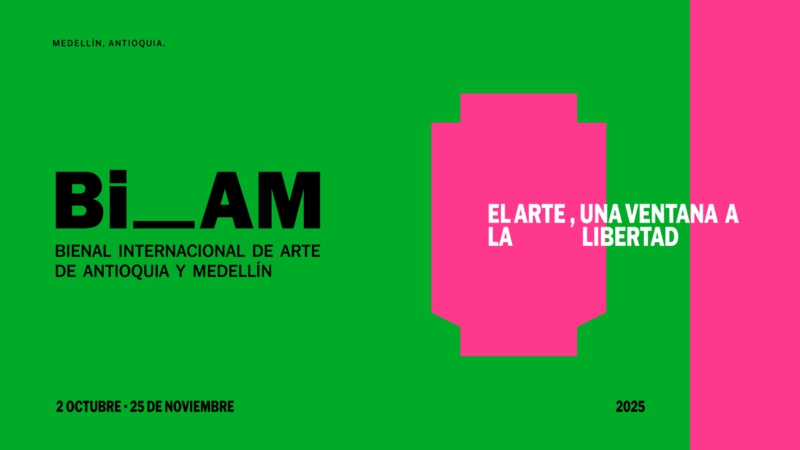 Balance-esquematico-y-prudente-de-la-BIAM.jpg