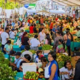 Mingalerías reunió saberes y economías rurales en Quilichao