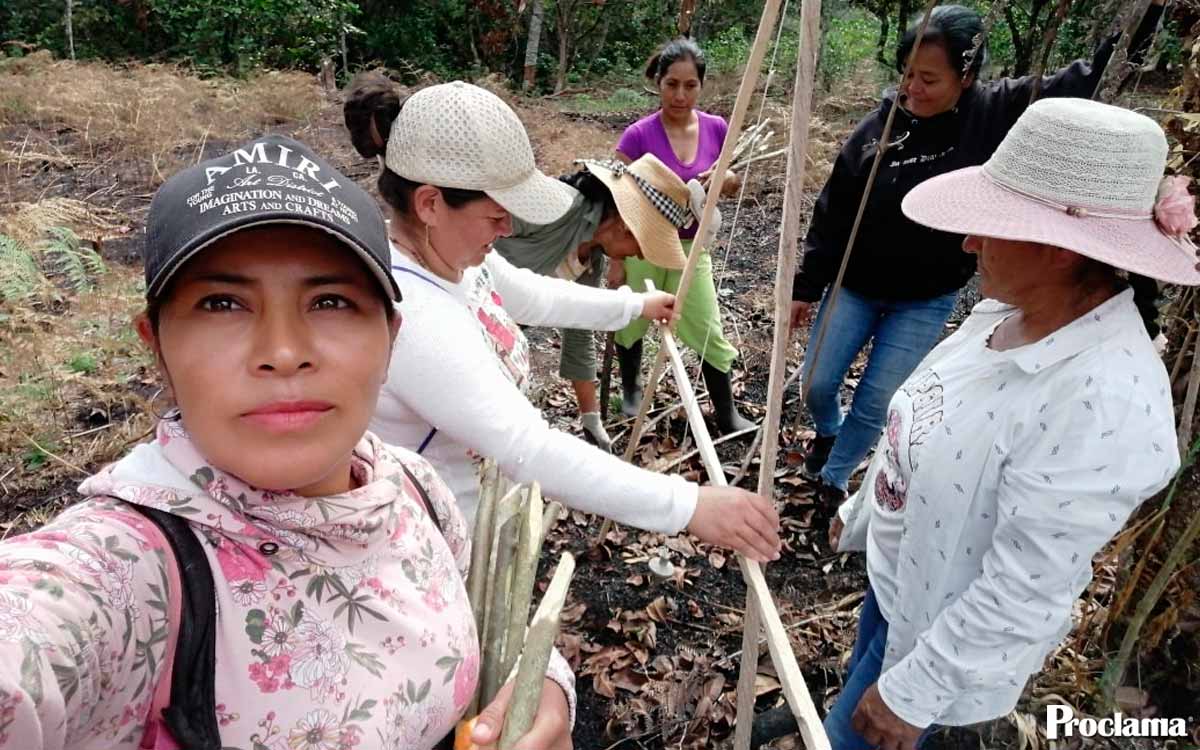 Mujeres-rurales-lideran-proyectos-productivos-en-Cajibío Mujeres-rurales-lideran-proyectos-productivos-en-Cajibío