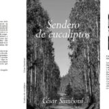 Sendero de eucaliptos
