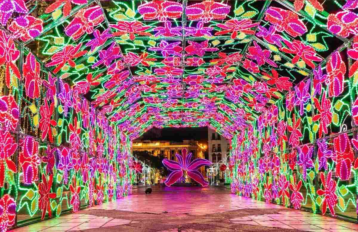 140 millones de luces iluminan la Sucursal de la Navidad