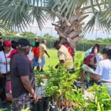 Caloto Cauca participa en agenda ambiental y agroforestal