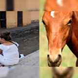 Muere niña de cuatro años en paseo a caballo