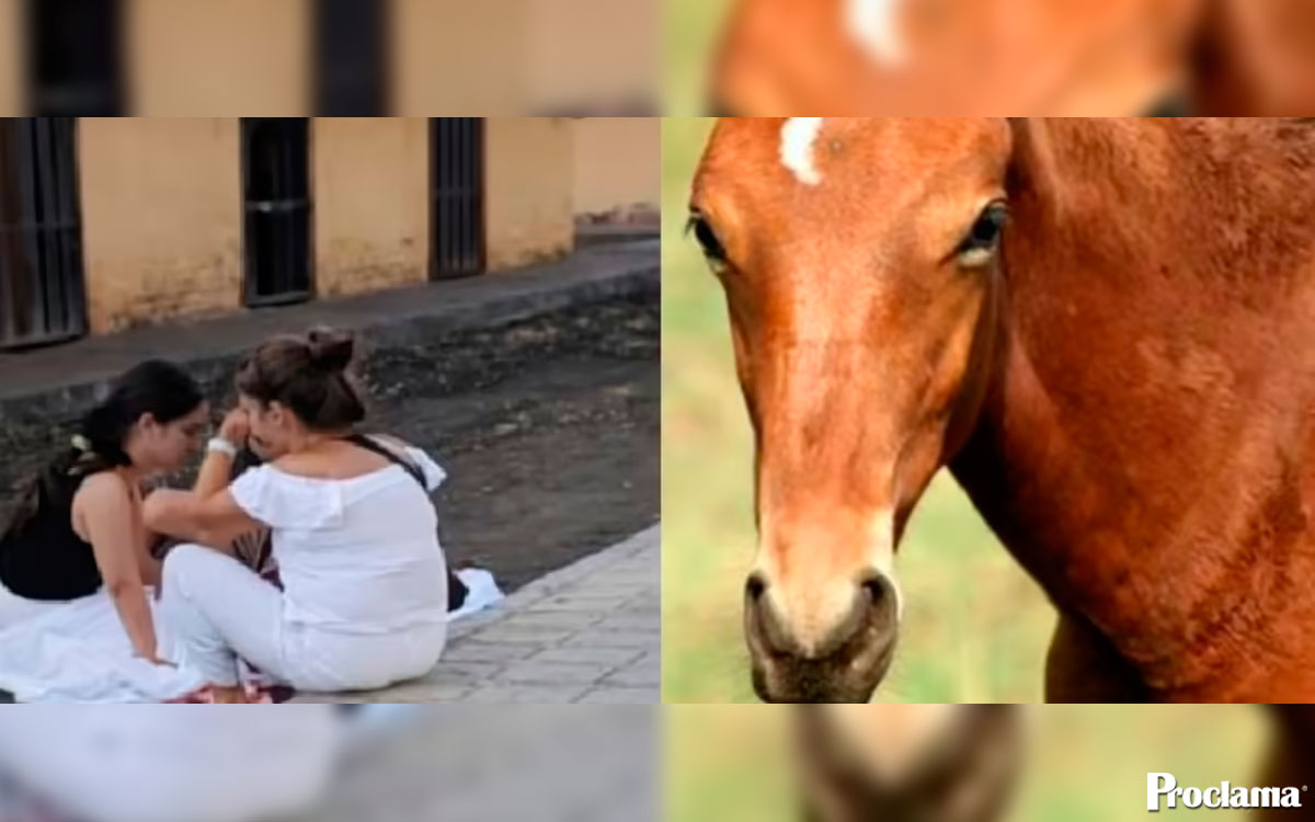 Muere-niña-de-cuatro-años-en-paseo-a-caballo Muere-niña-de-cuatro-años-en-paseo-a-caballo