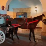 Cartagena pone fin a los coches de caballos