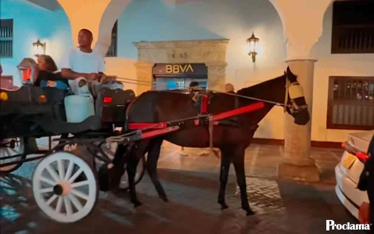 coches-de-caballos.webp