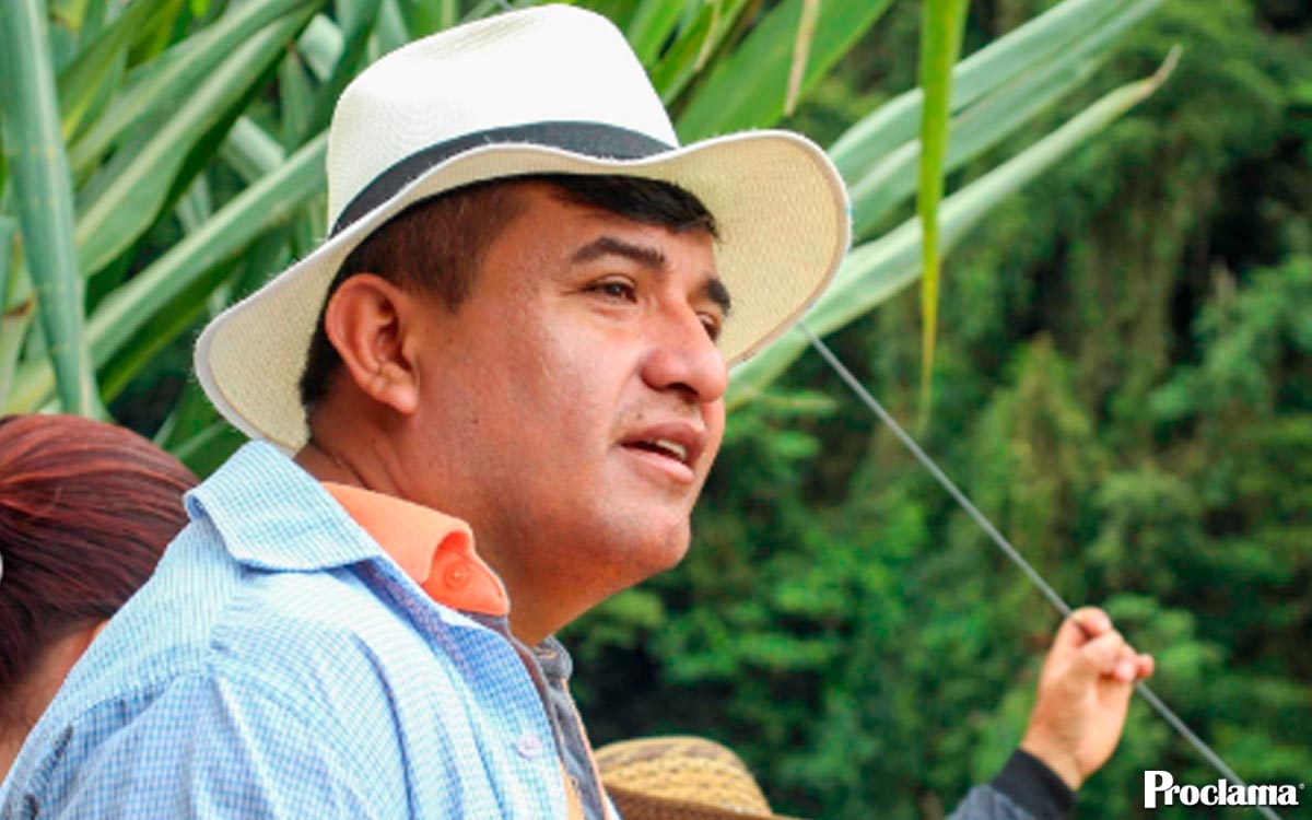 Confirman-aspersión-terrestre-en-Argelia,-Cauca
