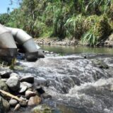 Consecuencias de las omisiones activas de la autoridad ambiental