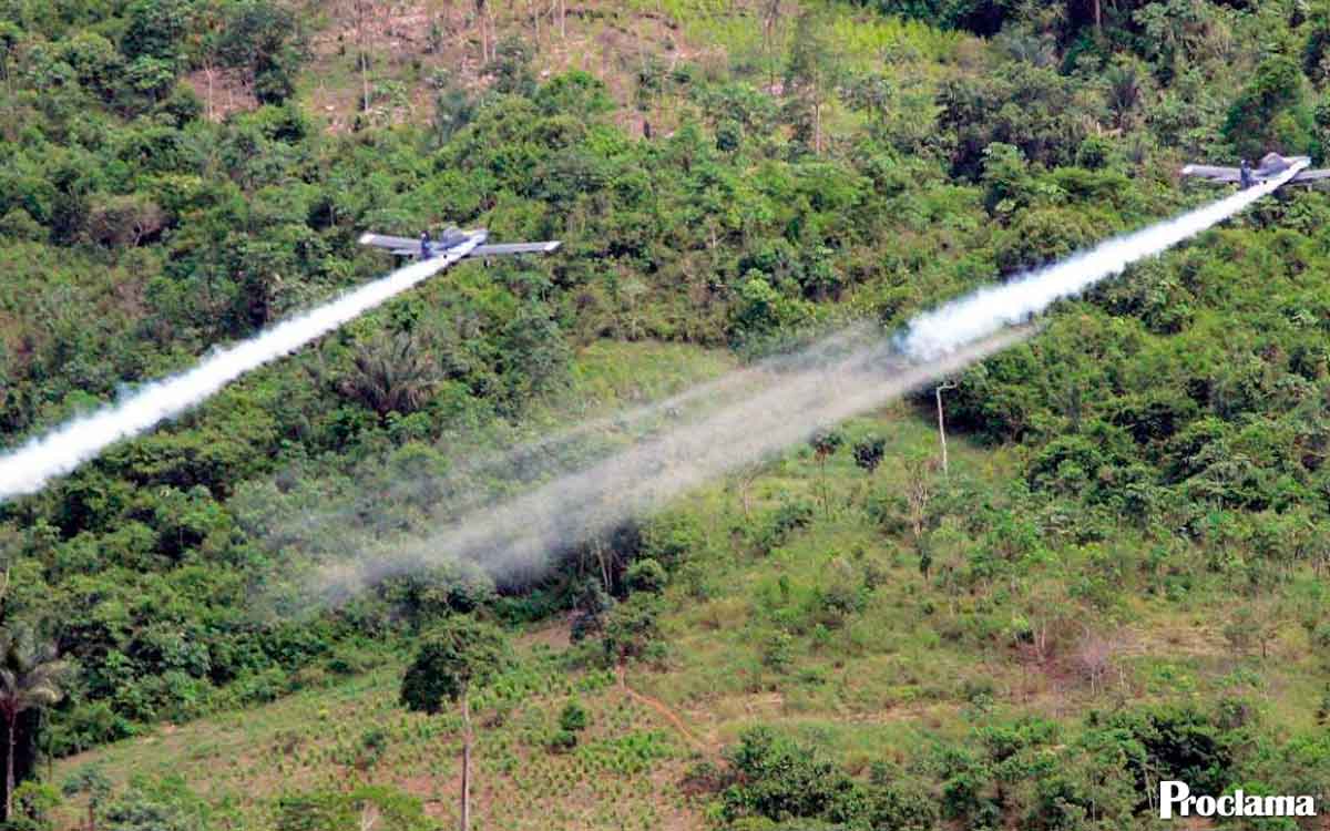 El-Patia-rechaza-fumigaciones-con-glifosato.jpg