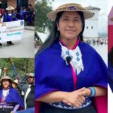 El Derecho Mayor desafía la Tutela Constitucional