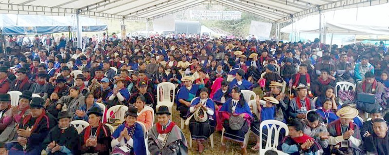 El Derecho Mayor desafía la Tutela Constitucional El Derecho Mayor desafía la Tutela Constitucional