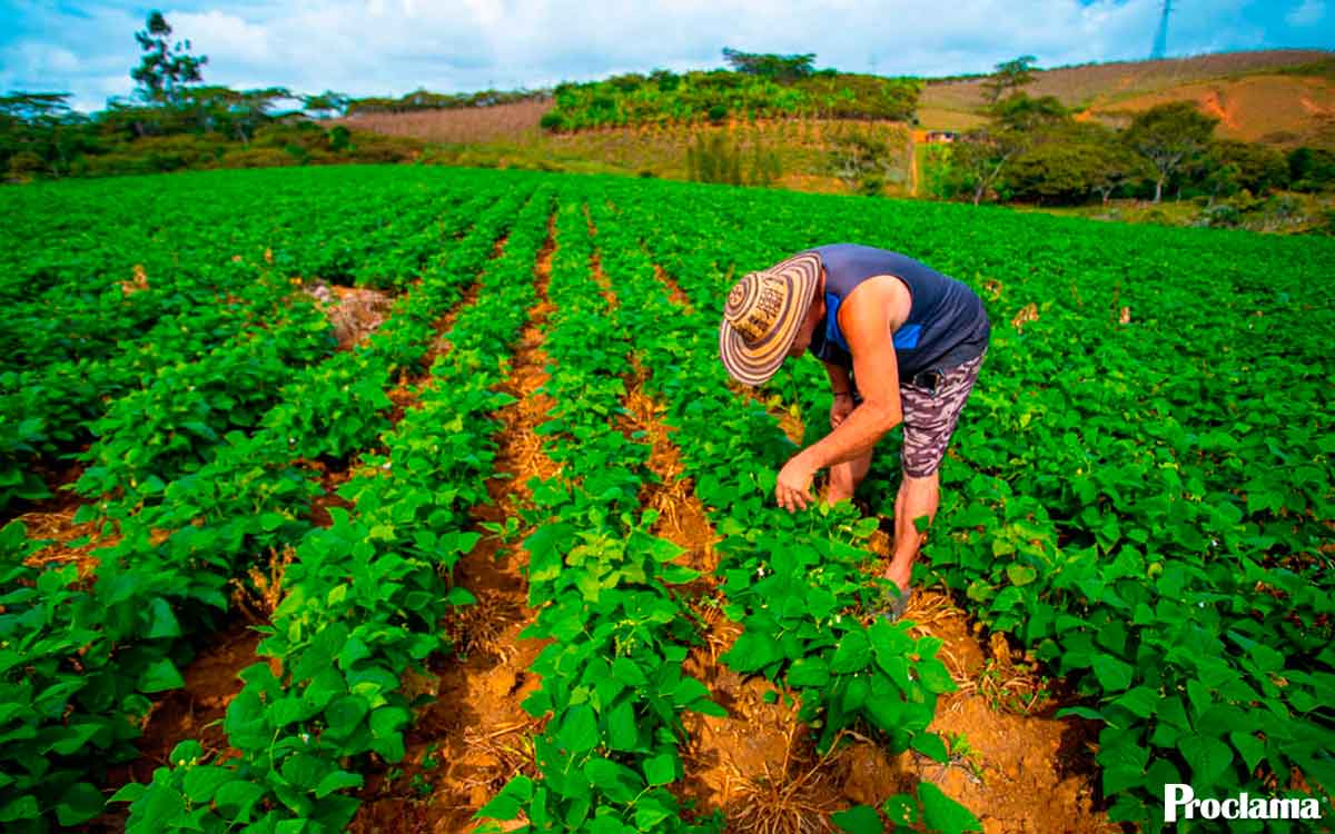 El-campo-marcó-récord-laboral-en-2025-2