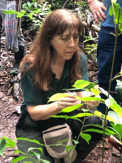 “Los jardines botánicos son fundamentales para el futuro de la humanidad”: María-Paz Martín “Los jardines botánicos son fundamentales para el futuro de la humanidad”: María-Paz Martín