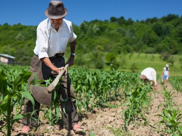 Magistrado gana 28 veces más que trabajador