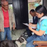 Vacunación canina y felina en Miranda