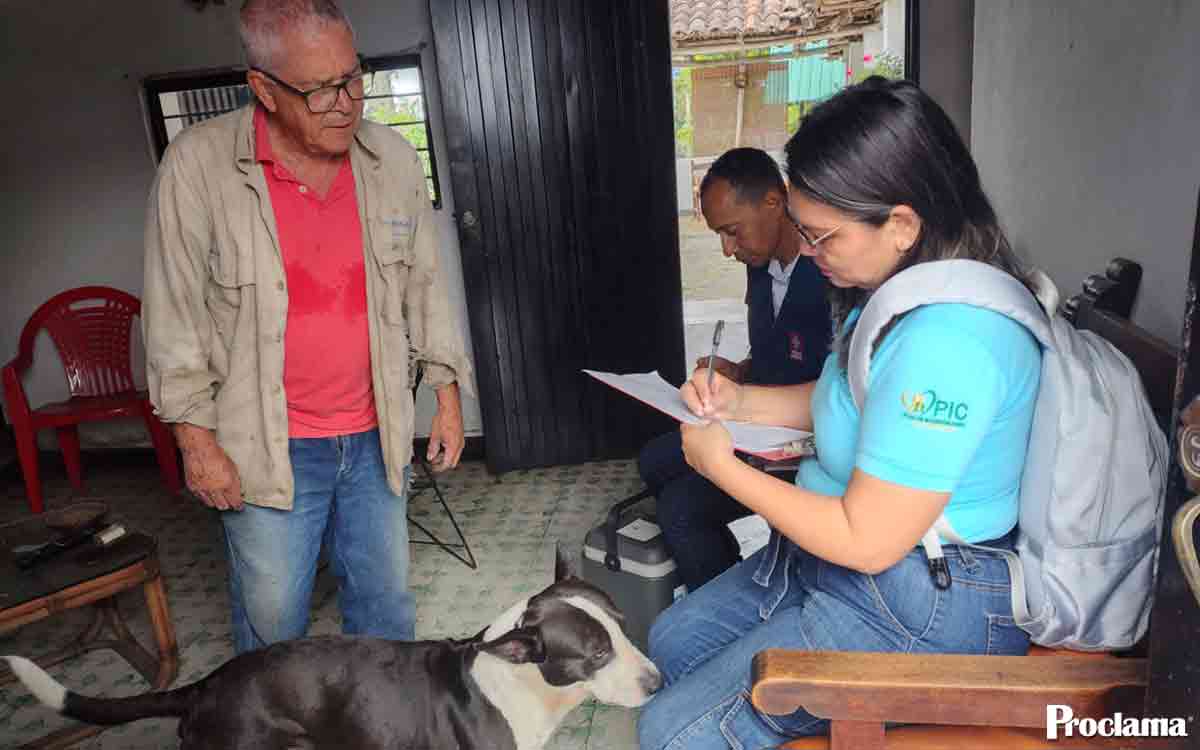 Vacunación canina y felina en Miranda