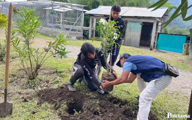 Miranda transforma espacios comunitarios