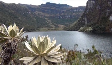 Museo Vivo del Agua del Cauca ingresa a red global de la UNESCO