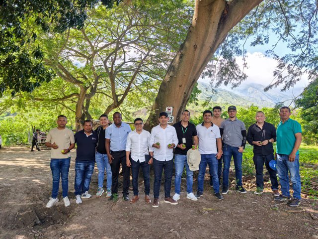 Limón Tahití del Cauca: un paso hacia el mundo Limón Tahití del Cauca: un paso hacia el mundo