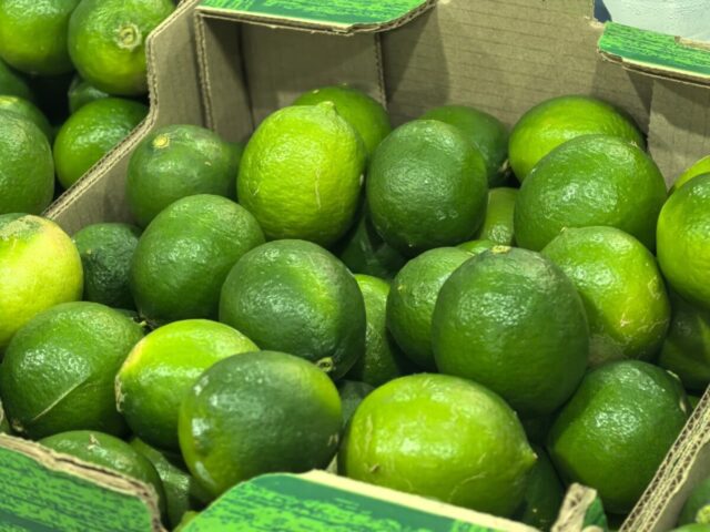 Limón Tahití del Cauca: un paso hacia el mundo Limón Tahití del Cauca: un paso hacia el mundo