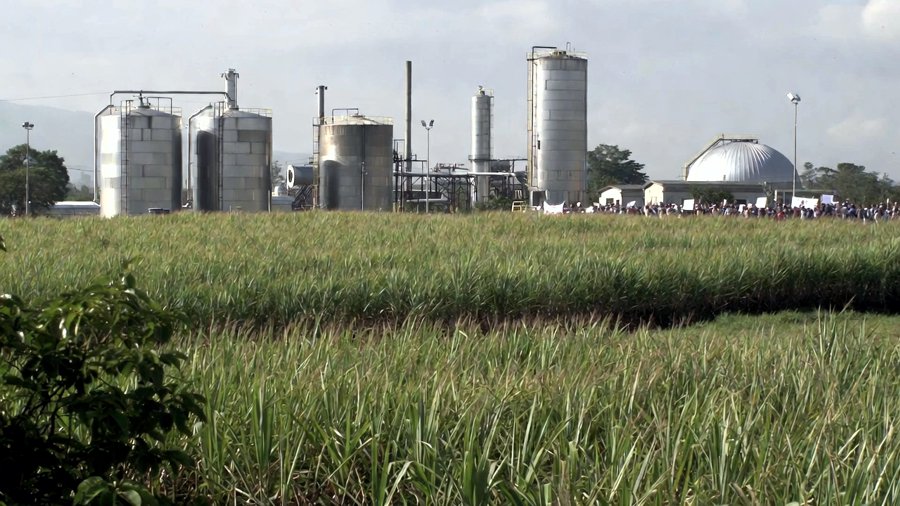 Suroccidente-colombiano-atrapado-en-la-crisis-del-Etanol-3.jpg