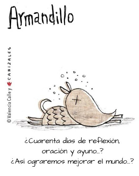 armandillo reflexion