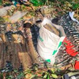 Bombardeo en Guaviare deja entregas e incautaciones