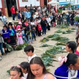 Domingo de Ramos cambia uso de palma en Silvia