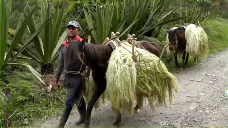 Empaques del Cauca entra en liquidación tras 60 años