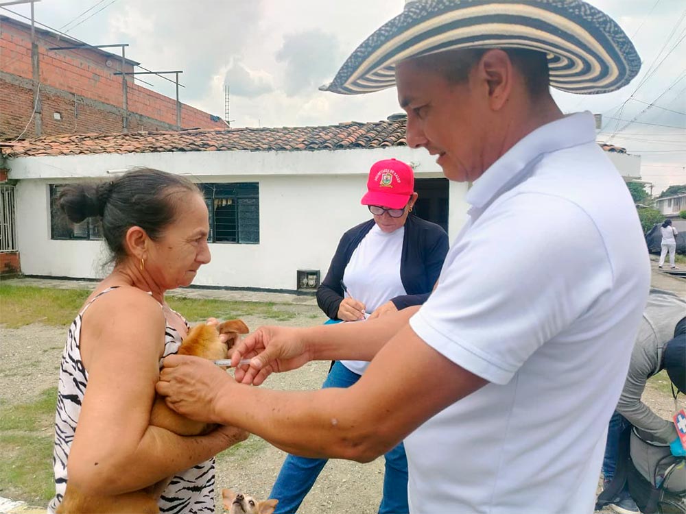 Mas-de-1.400-mascotas-protegidas-en-jornada-antirrabica-en-Puerto-Tejada.jpg