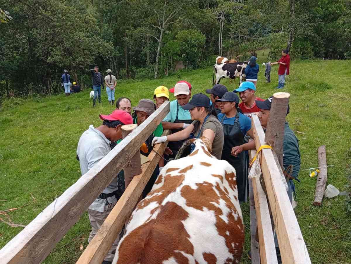 Productores-ganaderos-fortalecen-sus-capacidades-tecnicas-en-Silvia.jpg
