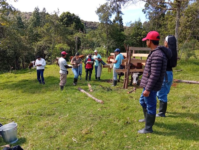 Productores ganaderos fortalecen sus capacidades técnicas Productores ganaderos fortalecen sus capacidades técnicas