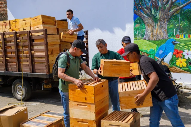 Quilichao respalda producción local de miel