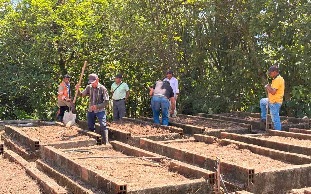 Adultos-mayores-de-Suárez-estrenan-huerta-comunitaria