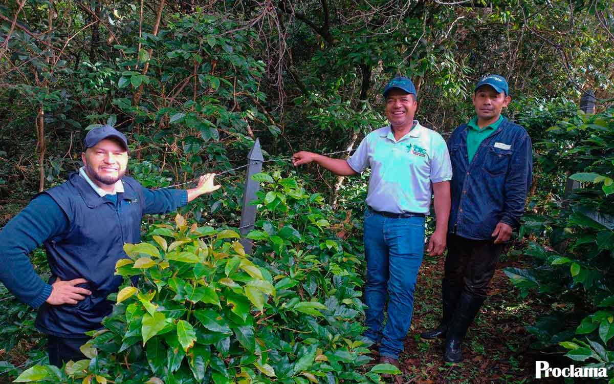 CRC-ejecuta-acciones-ambientales-en-Sotará-y-Cajibío