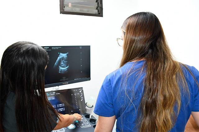 Hospital de Quilichao recibe ecógrafo para salud materna Hospital de Quilichao recibe ecógrafo para salud materna