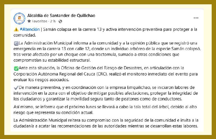 La-caida-del-saman-y-el-colapso-del-idioma-oficial-1-1.jpg