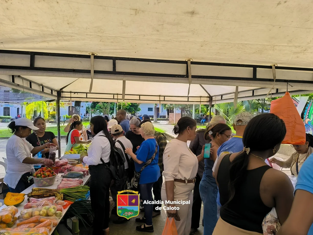 Mercado-campesino-en-la-plazoleta-de-Caloto-con-productores-locales-ofreciendo-frutas-verduras-carnes-y-productos-artesanales-directamente-a-la-comunidad-1280x960.webp