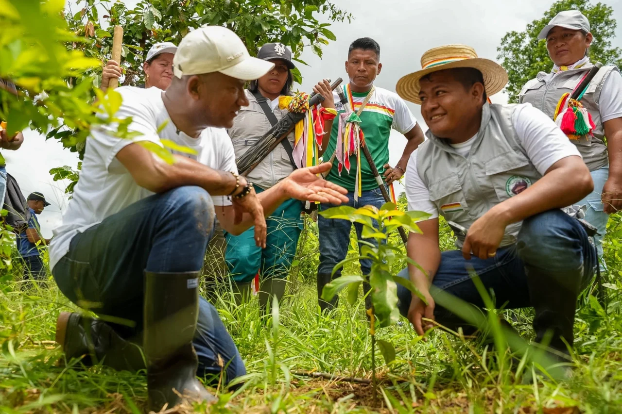 Narino-avanza-en-retiro-de-cultivos-de-coca-1280x853.webp
