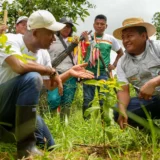 Nariño avanza en retiro de cultivos de coca