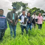 Popayán conmemora día cívico ambiental con siembra
