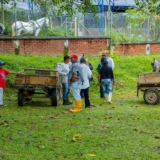 Sustitución de tracción animal avanza en Quilichao
